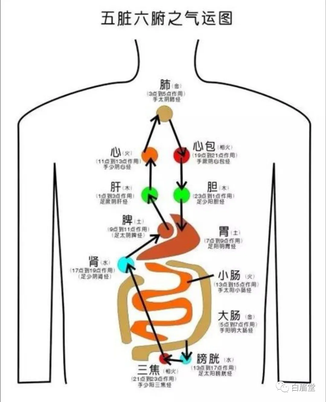 养生之本质五脏之好恶肝怕堵心怕累脾怕冷肺怕烟肾怕干