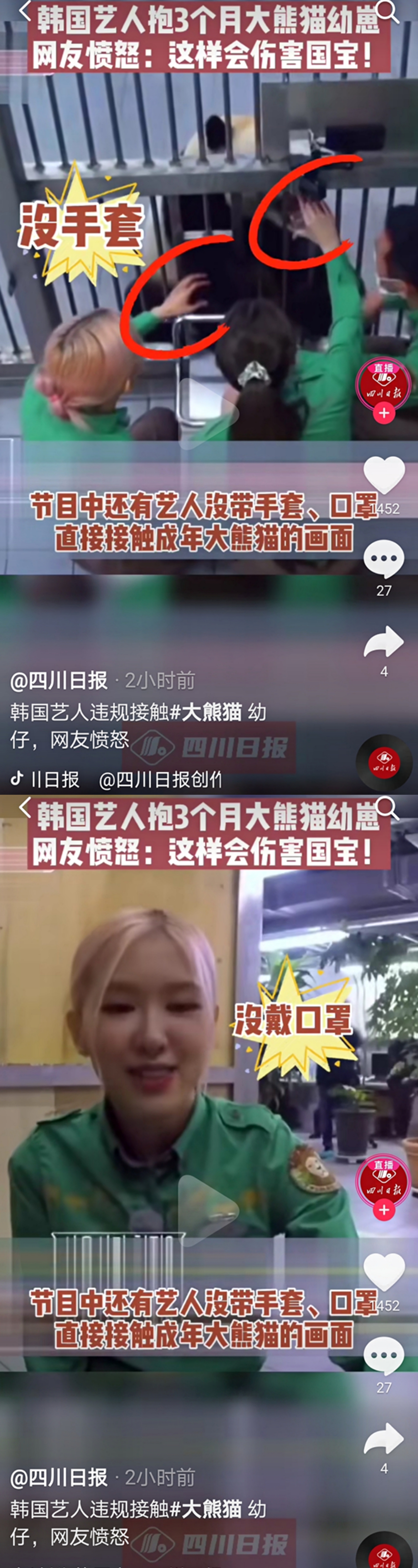 原来blackpink知道熊猫非常敏感不能随便碰的,那为什么还不戴口罩不戴