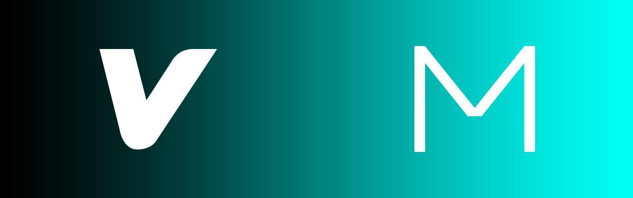 认识一下海内外互联网产品服务的那些孪生兄弟!-iQiQi