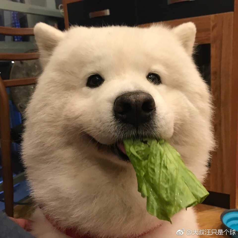 img 7139 - 饭即