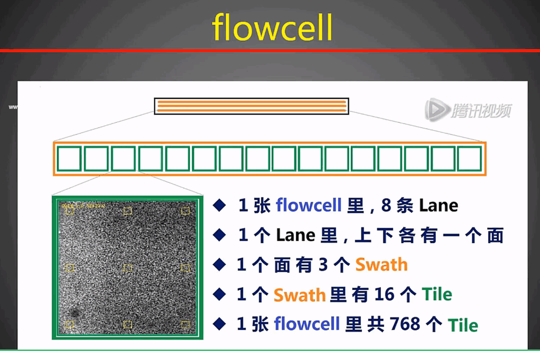 flowcell