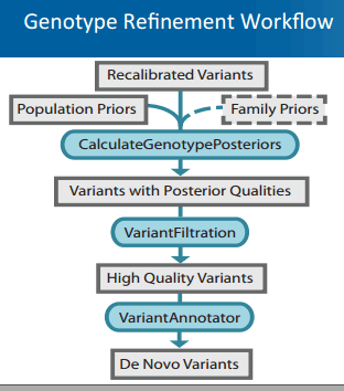 genotype refinement workflow