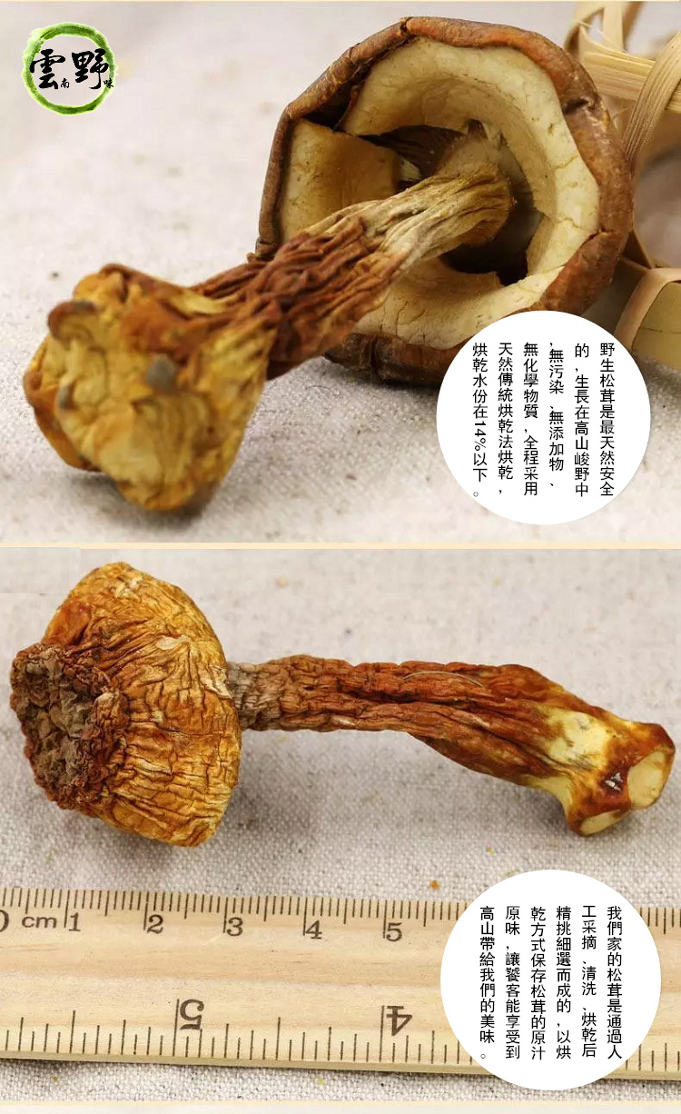 雲野 雲南野生松茸菇乾貨 乾燥品 已篩選過 為出口日本的出口產品 只賣好品質 牛肝菌松露香菇花菇可參考 Yahoo奇摩拍賣