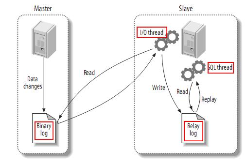 Mysql主从复制工作模型