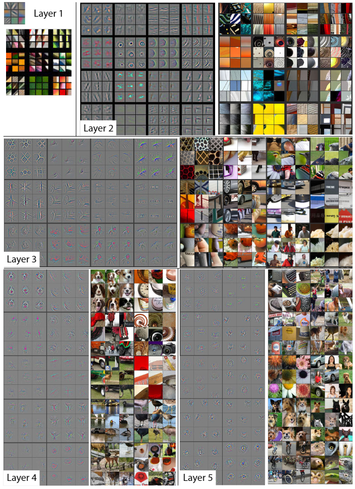 Visualization of features in a fully trained model