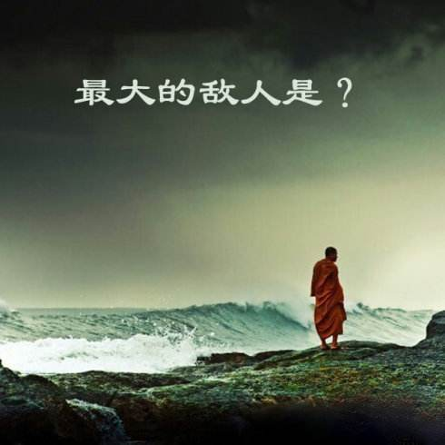 百度ssp封号怎么办？任何事情收益和风险都将并存