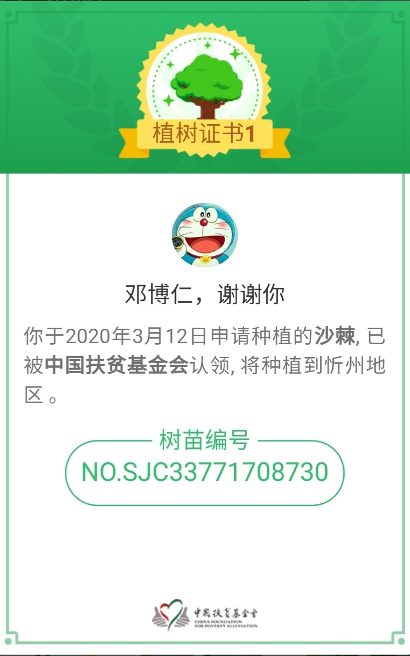 沙棘