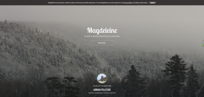 分享几个免版权图片网站-magdeleine