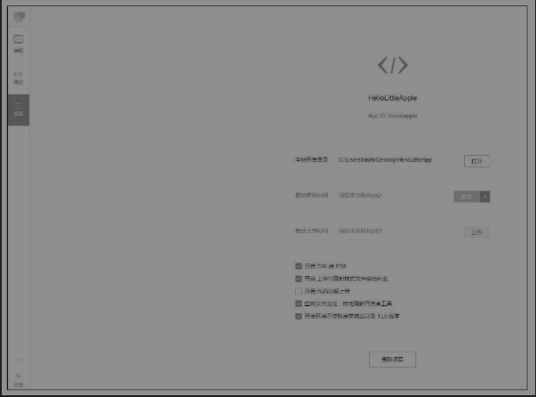 项目选项卡