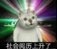 奇怪的知识增加了