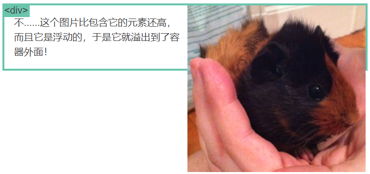 浮动的溢出错误
