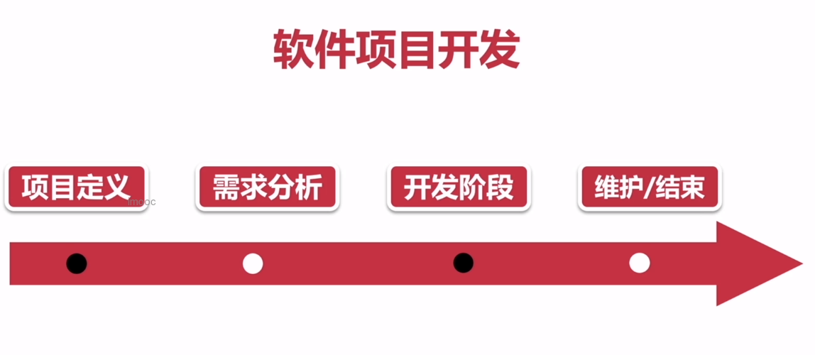 软件项目开发