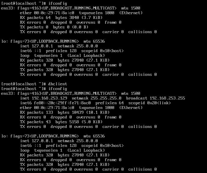 dhclient