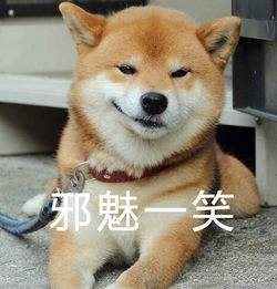 支付寶