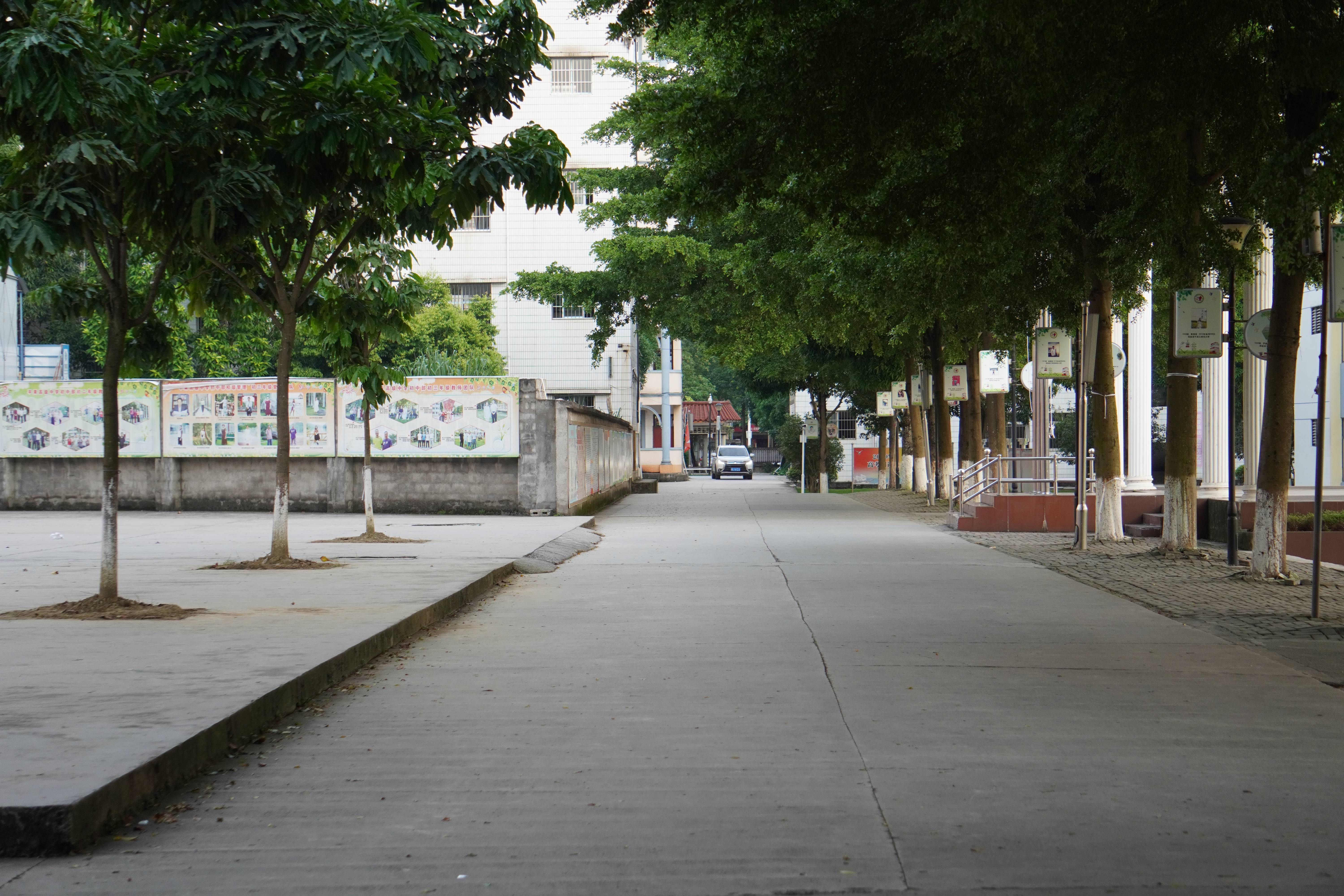 升旗台后面的路