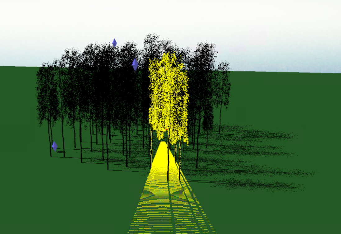 An example of forest plot 