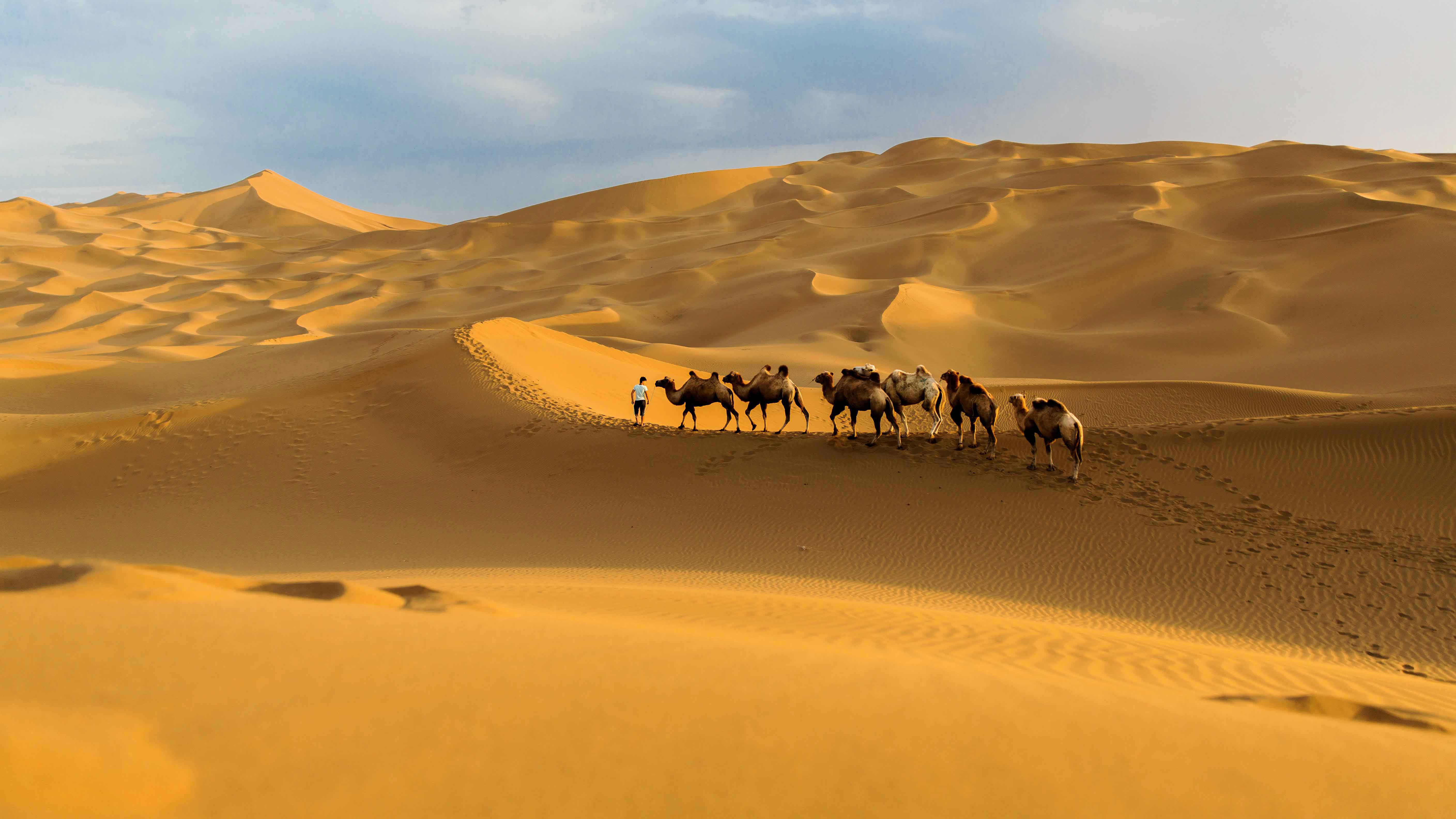 新疆沙漠旅游