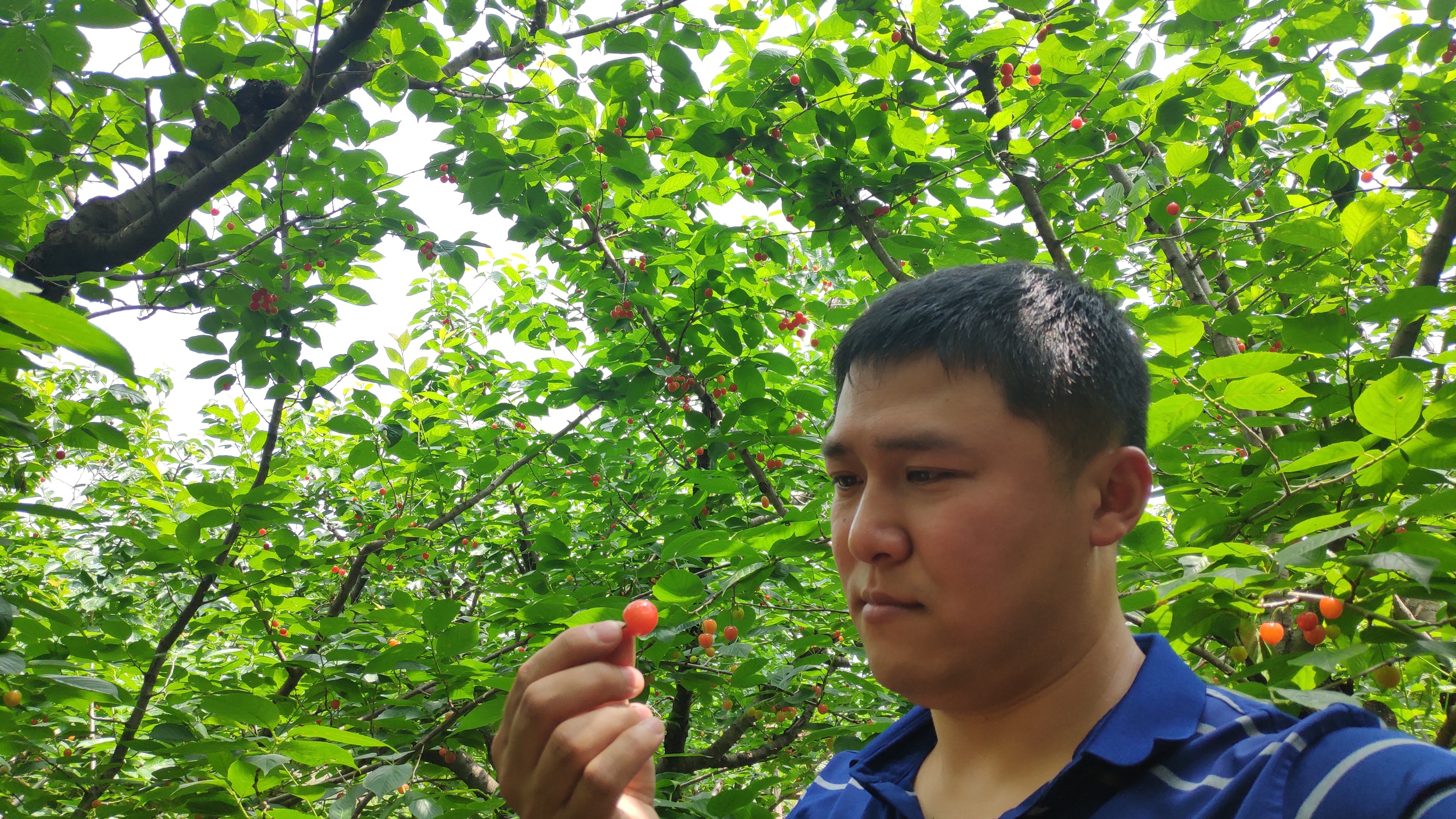普通老百姓生活在当代中国是一种幸运！