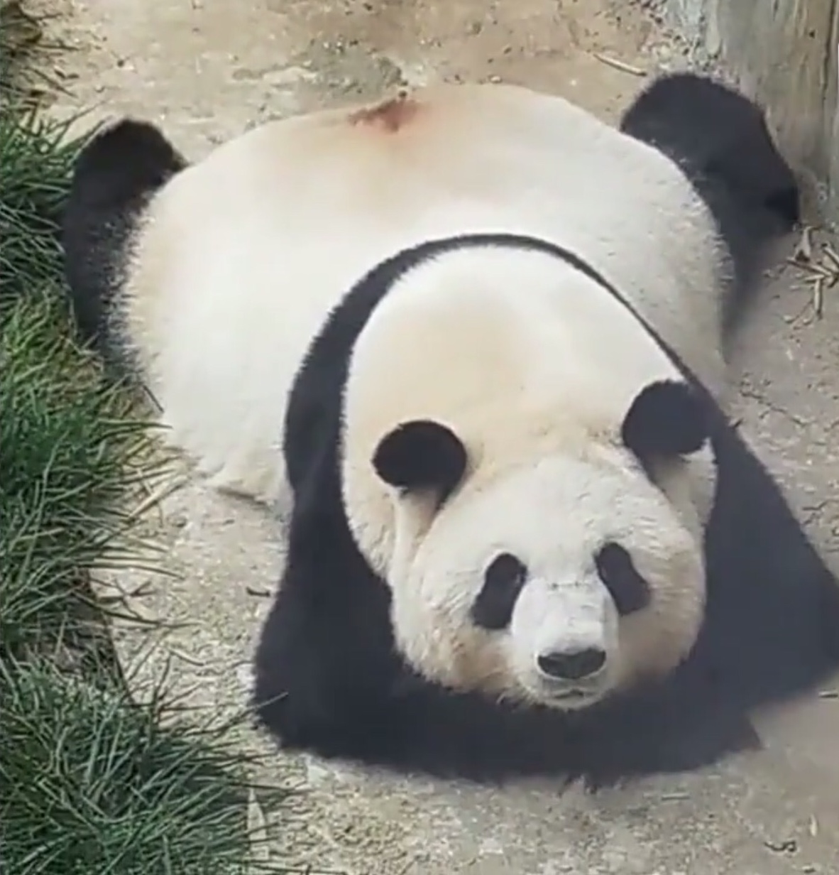 主题:扶贫先扶智,治穷先治愚!