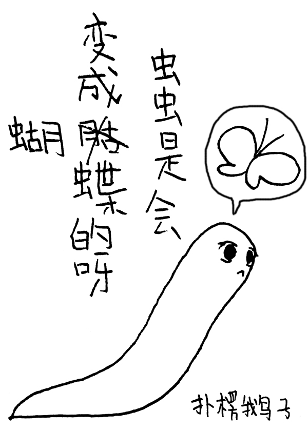 虫虫是会变成蝴蝶的呀