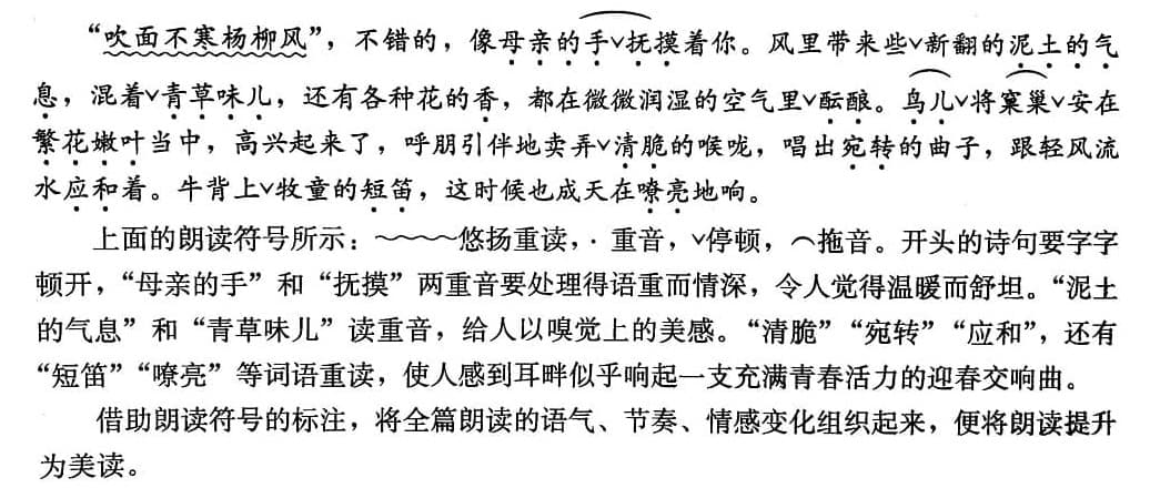 多种朗读符号的综合运用