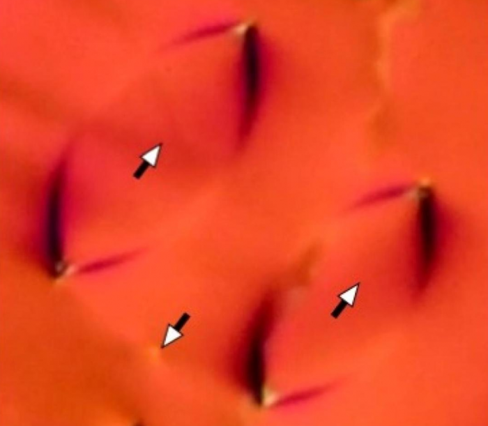科学家成功制造出一种新型液晶相标志新材料领域重大进步 4 tHYFVe