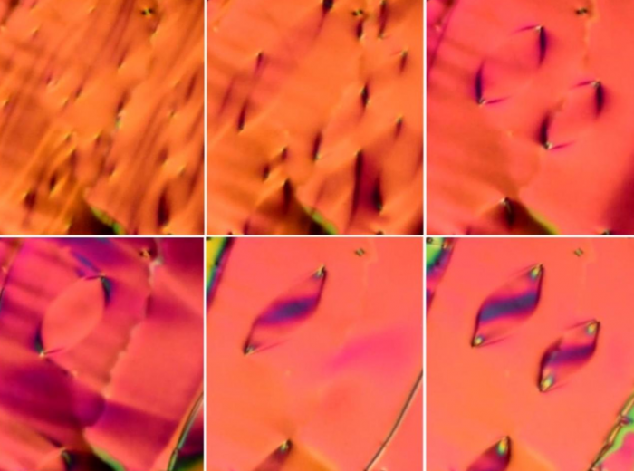 科学家成功制造出一种新型液晶相标志新材料领域重大进步 3 tHYSv6
