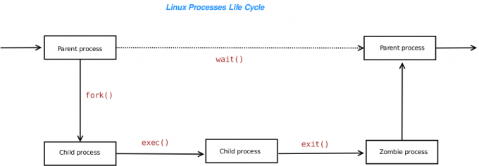 Linux Processes Life Cycle