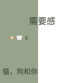 需要感［韩娱］