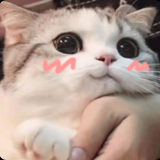 Nssgde.th.png