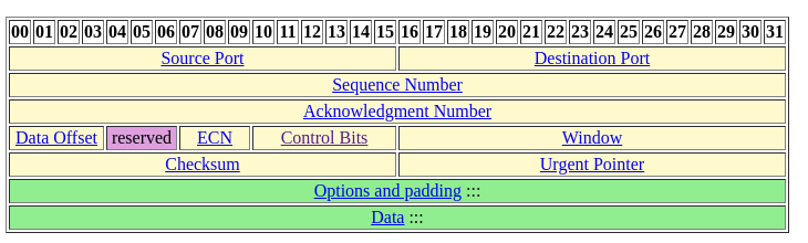 tcp_header.png
