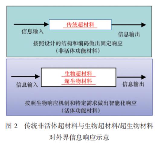合成生物学、超材料和人工智能的融合将出现颠覆性技术突破 2 生物超材料/超生物材料