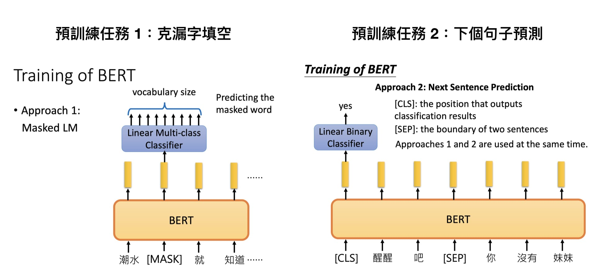 Bert详解 附带elmo Gpt介绍 Mathor