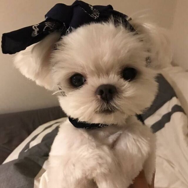 云澈