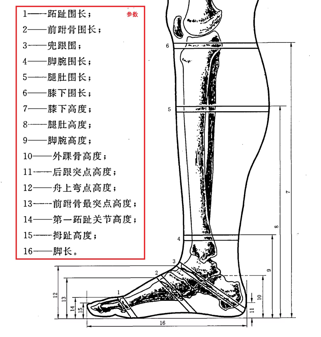 鞋楦的尺寸标准