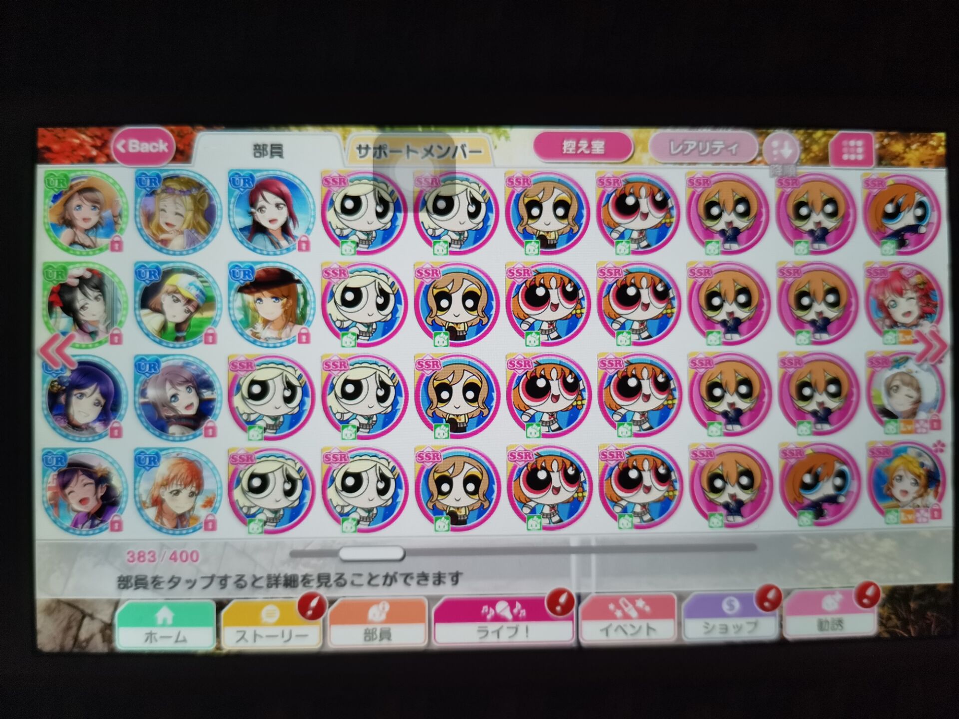myurs2