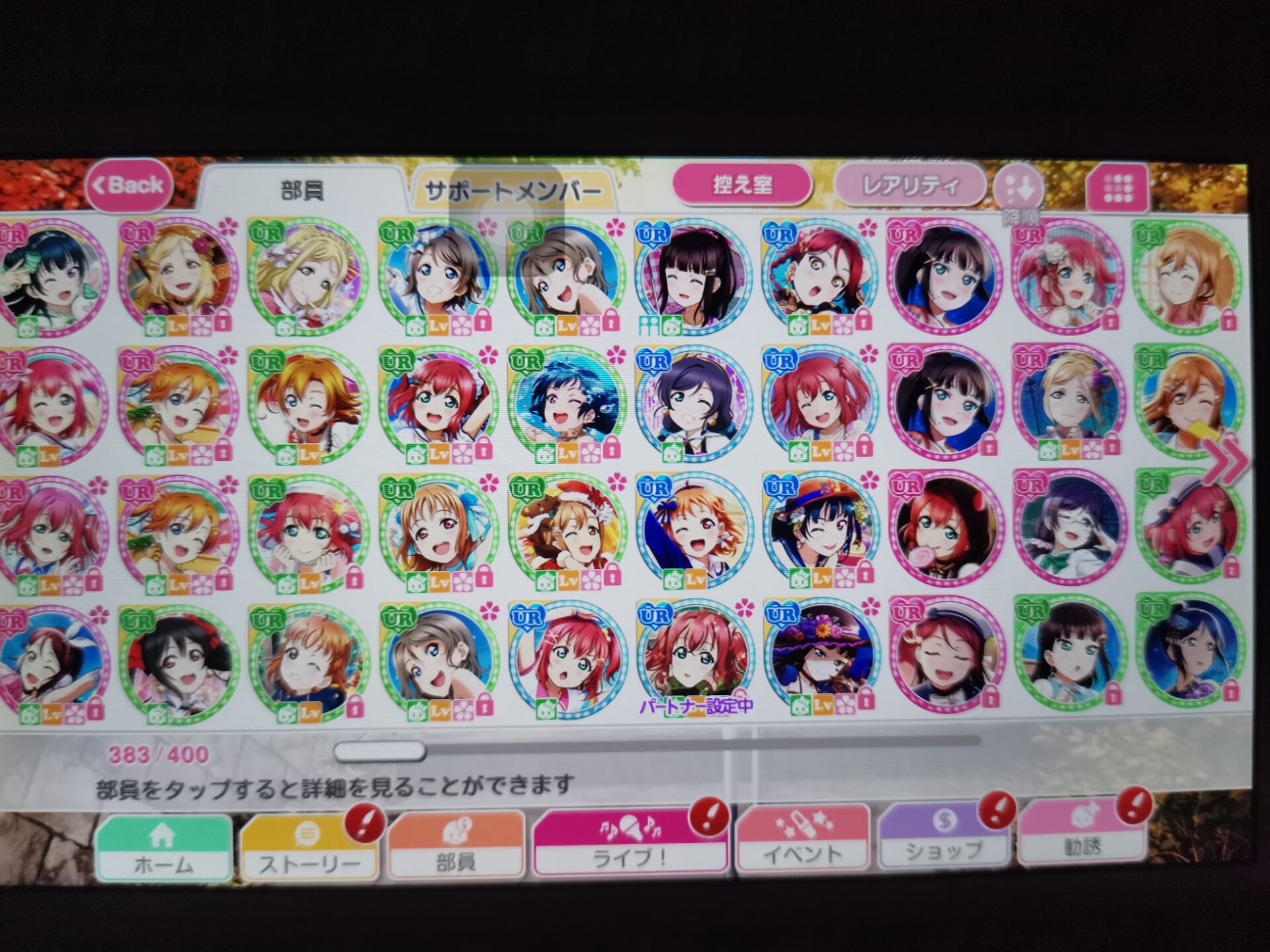 myurs1