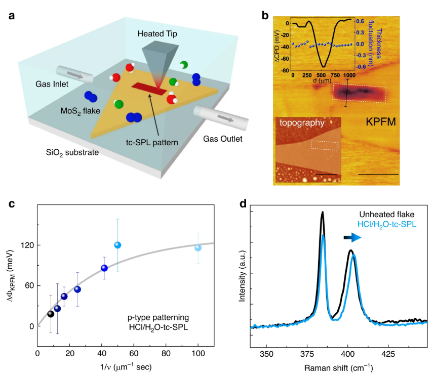 纽约大学最新研究推动2D半导体材料行业应用 1 纽约大学最新研究推动2D半导体材料行业应用