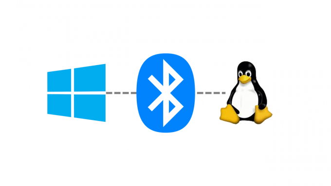 Win10 + Linux Dual System Share Bluetooth Device