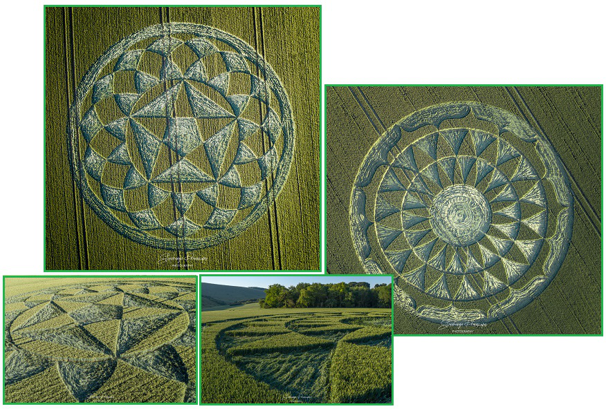 齐塔人之声通讯723期|群体免疫、克隆列表、麦田怪圈季节