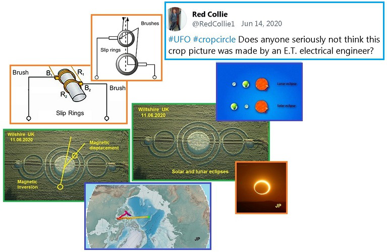 齐塔人之声通讯723期|群体免疫、克隆列表、麦田怪圈季节