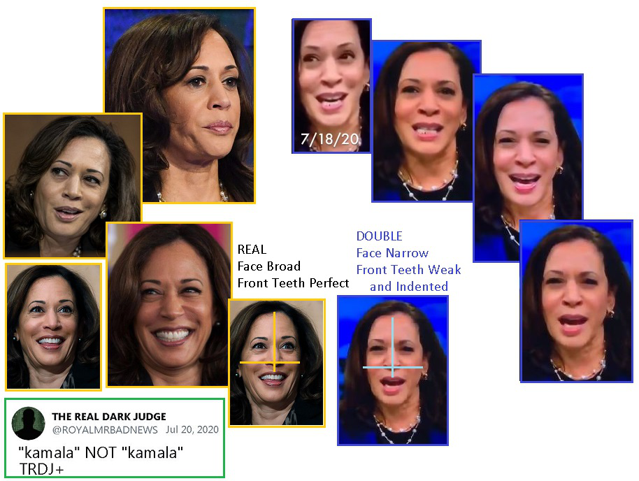 齐塔人之声通讯723期|群体免疫、克隆列表、麦田怪圈季节