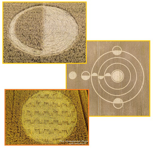 齐塔人之声通讯723期|群体免疫、克隆列表、麦田怪圈季节