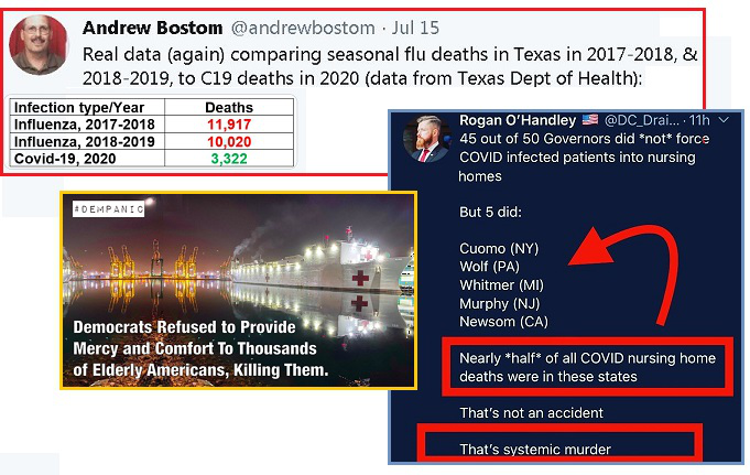 齐塔人之声通讯723期|群体免疫、克隆列表、麦田怪圈季节