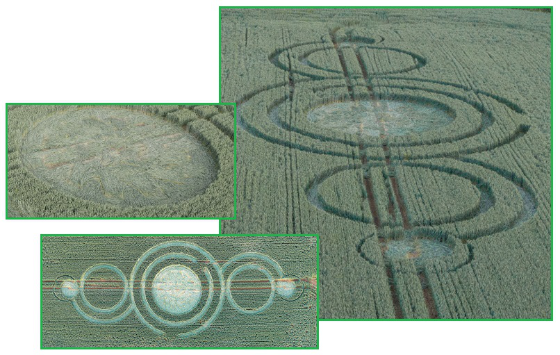 齐塔人之声通讯723期|群体免疫、克隆列表、麦田怪圈季节