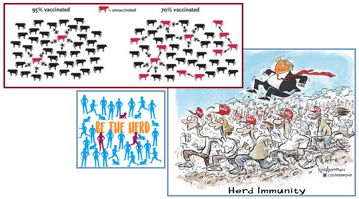 齐塔人之声通讯723期|群体免疫、克隆列表、麦田怪圈季节