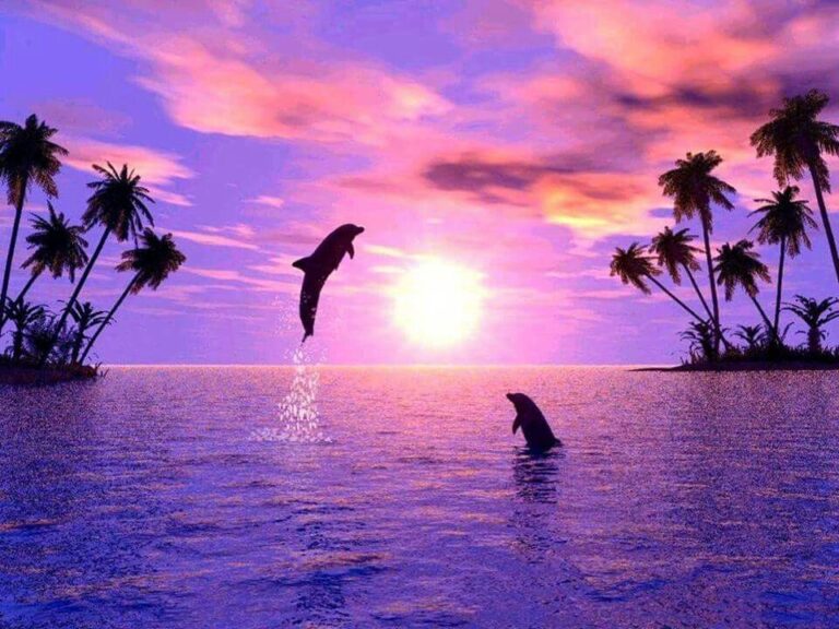 FM 144|狮子座星门门户(2020年8月5日更新)