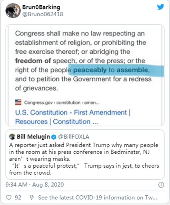 特朗普总统:‘看着吧…’|Sierra(NZ)