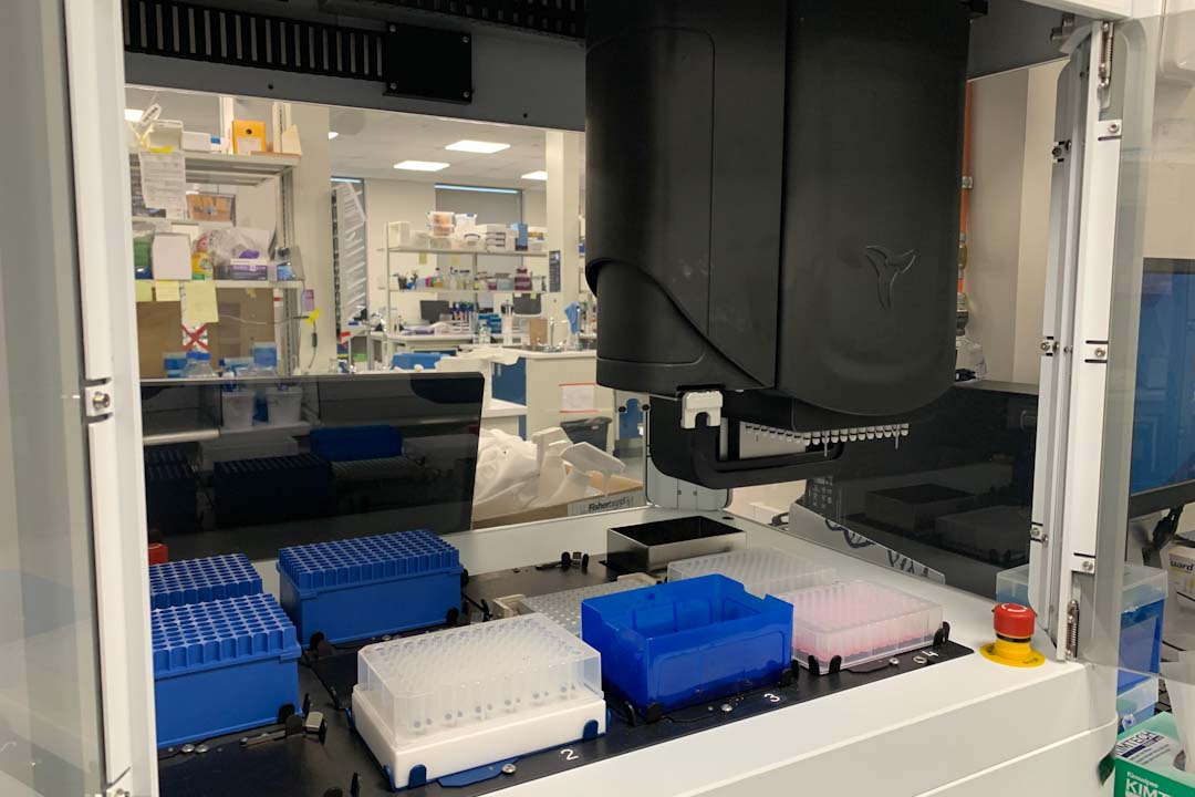 农业技术在大流行病中的救援：改造植物实验室用于人类测试