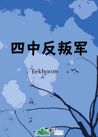 四中反叛军